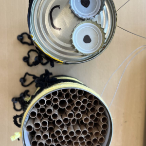 Dosenbienen